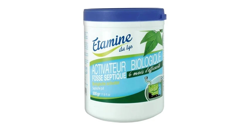 Etamine du lys