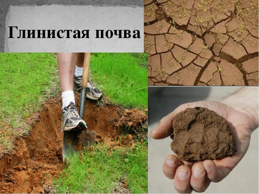 Дренажная система на глинистом участке